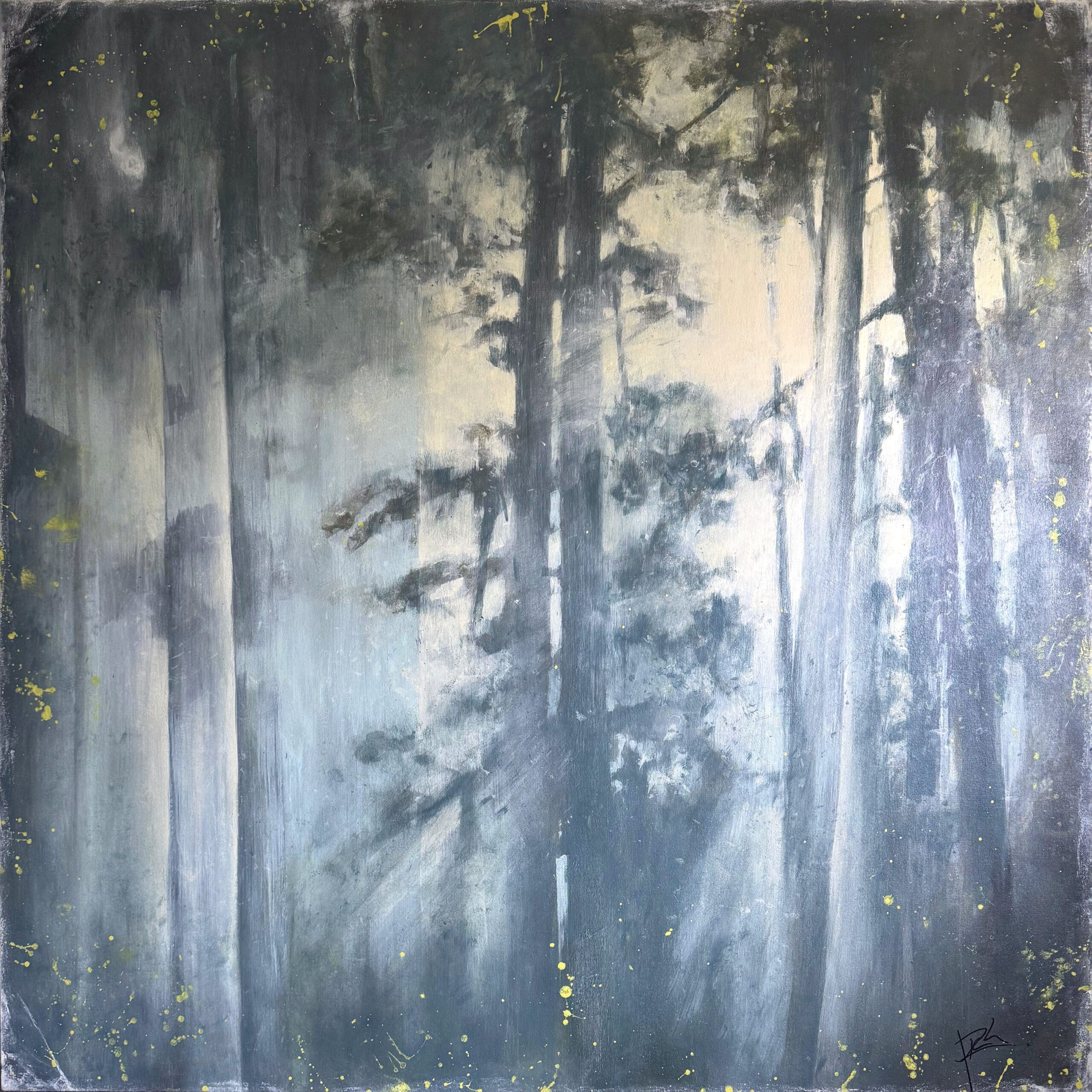 Through the Veil